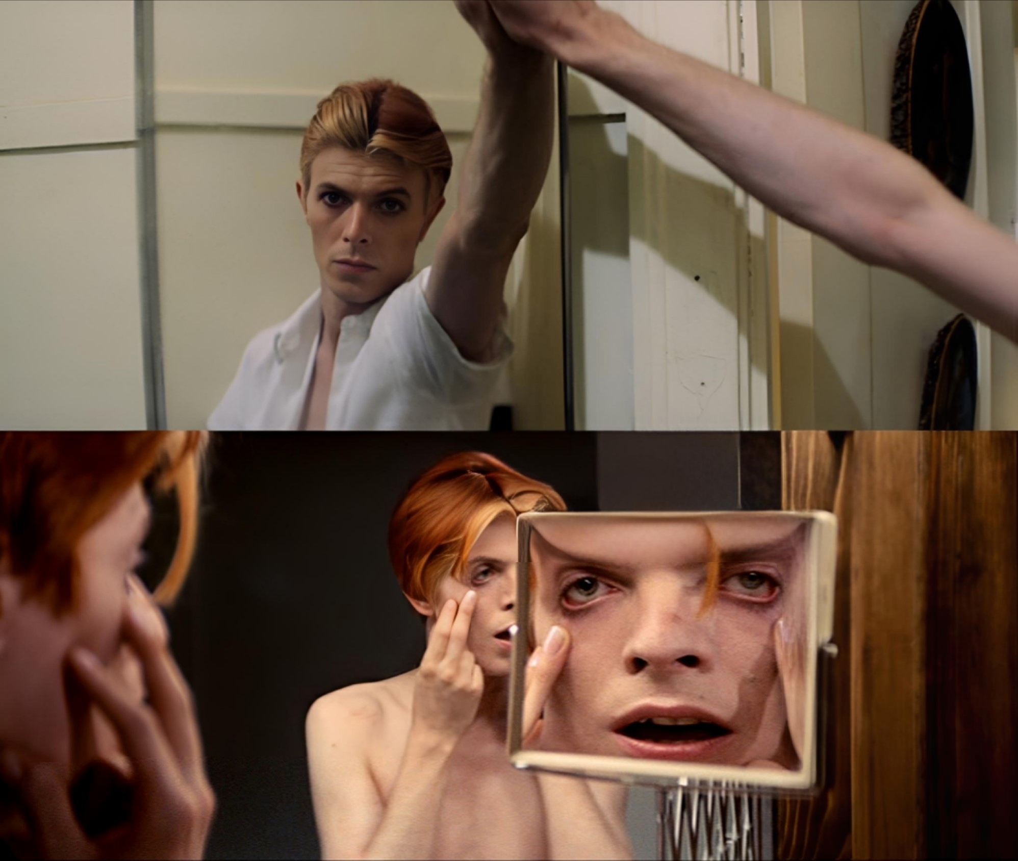 David Bowie Nicolas Roeg The Man Who Fell To Earth Walter Tevis 1975