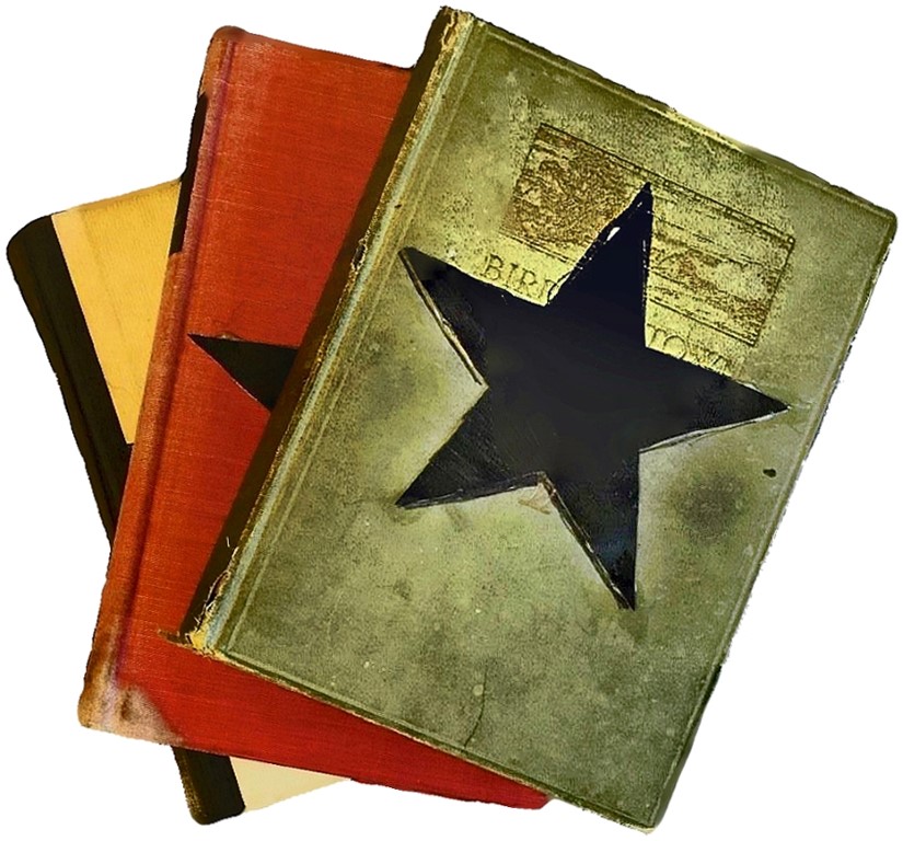 Blackstar Fake Hoax Books