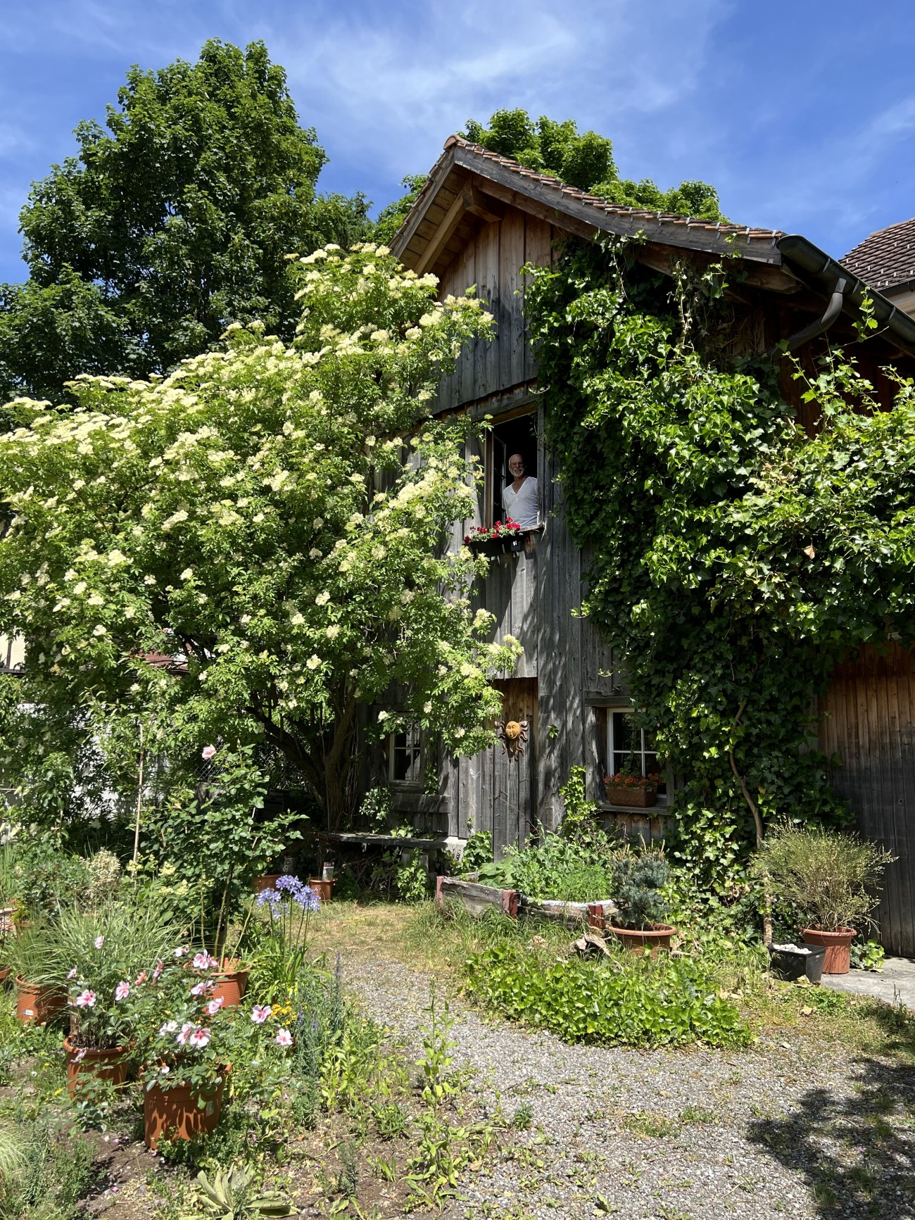 Peter-Robert Koenig, 2026 May 30, Im Schuppen hinter dem Haus