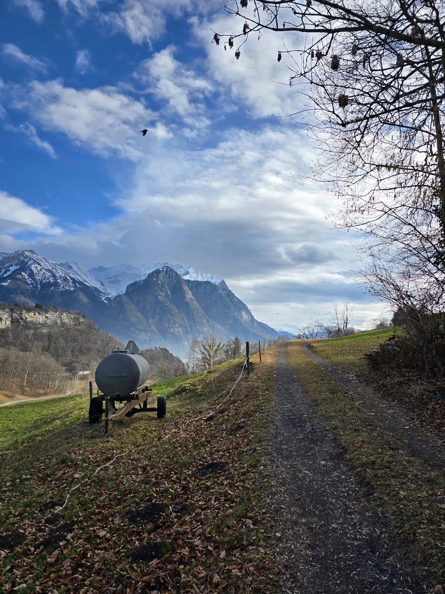 P.R. Koenig, Valentine's Day 2026